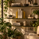 AXIS Bookend